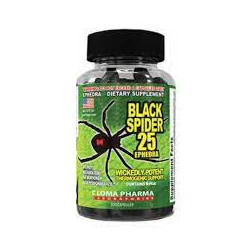 Black spider
